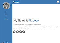 Resume Template