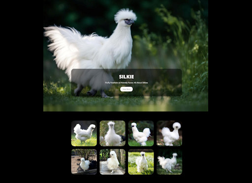Silkies Template
